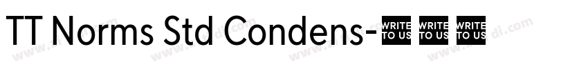 TT Norms Std Condens字体转换
